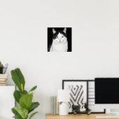Black and White Cat Portrait ポスター (ホームオフィス)