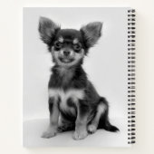 Black and White Chihuahua Puppy Photo ノートブック (裏面)