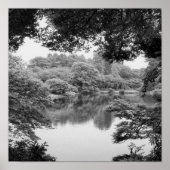 Black and white, cool, unique nature and lake ポスター (正面)