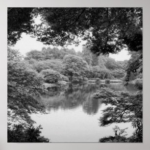 Black and white, cool, unique nature and lake ポスター