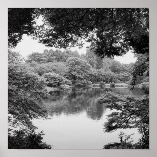 Black and white, cool, unique nature and lake ポスター (正面)