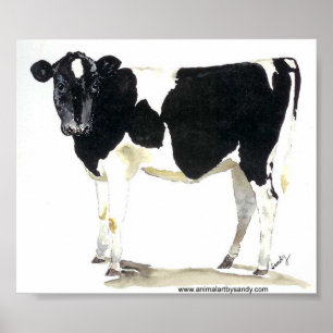black and white cow poster ポスター