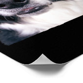 Black and White Dog Face ポスター (角)