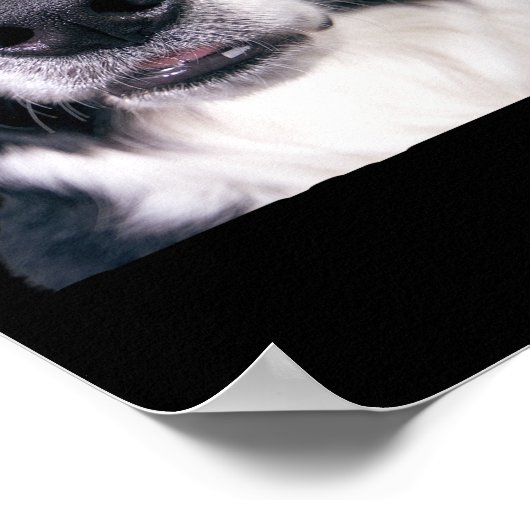 Black and White Dog Face ポスター (角)