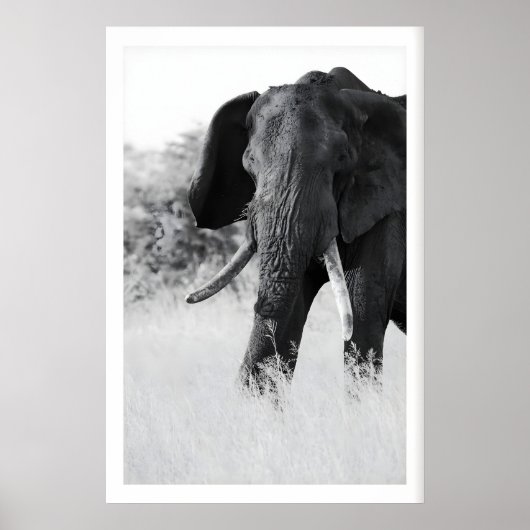 Black and White Elephant Print - Minimalist ポスター (正面)