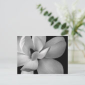 black-and-white-flower-7256-hd-wallpapers.jpg ポストカード (スタンド正面)
