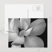 black-and-white-flower-7256-hd-wallpapers.jpg ポストカード (正面/裏面)