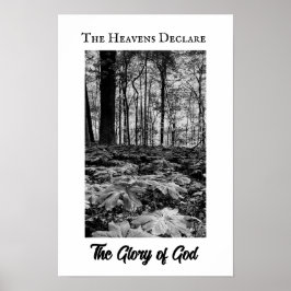 Black and White Forest Glory of God Poster ポスター