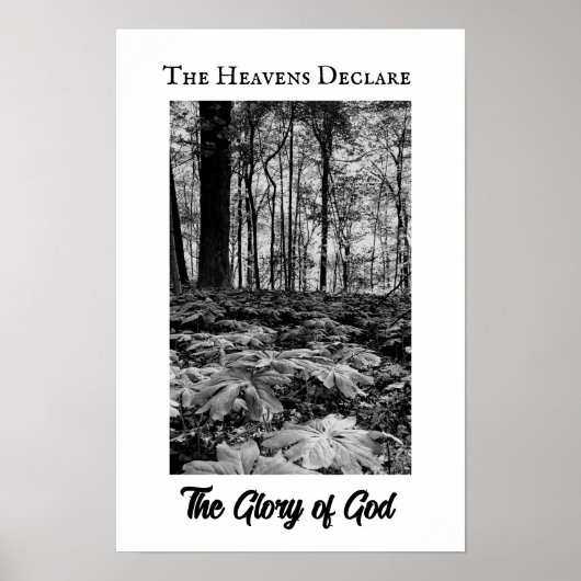 Black and White Forest Glory of God Poster ポスター (正面)