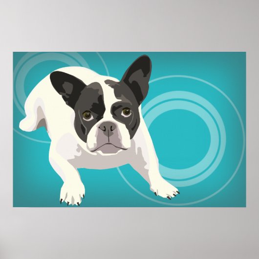 Black and White French Bulldog on Blue Background ポスター (正面)