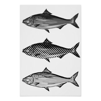 Black and white graphic fish ポスター