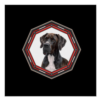 Black And White Great Dane In A Red Frame ポスター