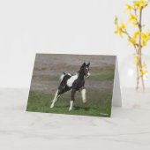 Black and White Gypsy Vanner Foal Running カード (黄色い花)