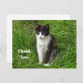 Black and White Kitten Photo Grateful ポストカード (正面/裏面)