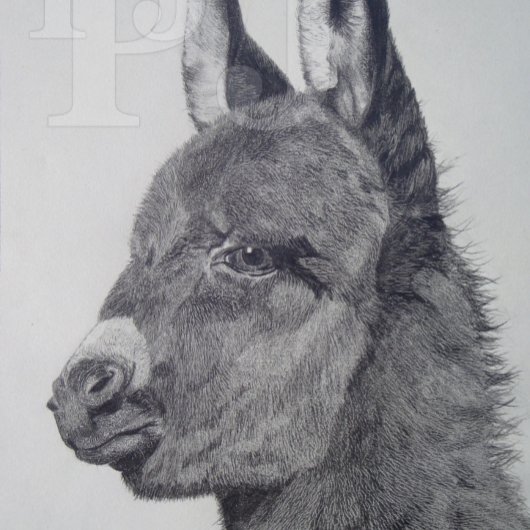 black and white lifelike drawing of cute donkey ジグソーパズル