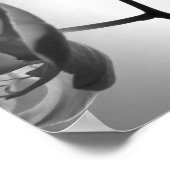 Black and White Orchid Flowers on the Stem ポスター (角)