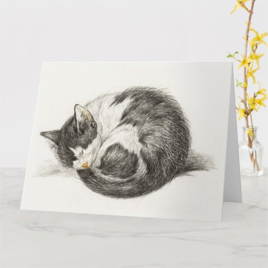 Black and white pencil drawing of a sleeping cat カード (黄色い花)