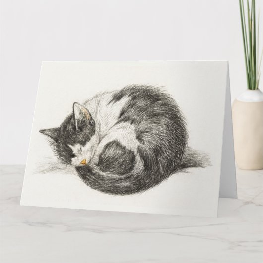 Black and white pencil drawing of a sleeping cat カード (正面)