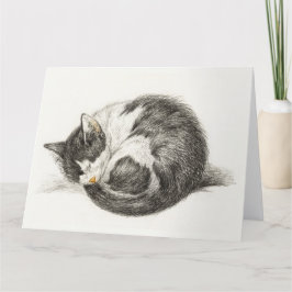 Black and white pencil drawing of a sleeping cat カード