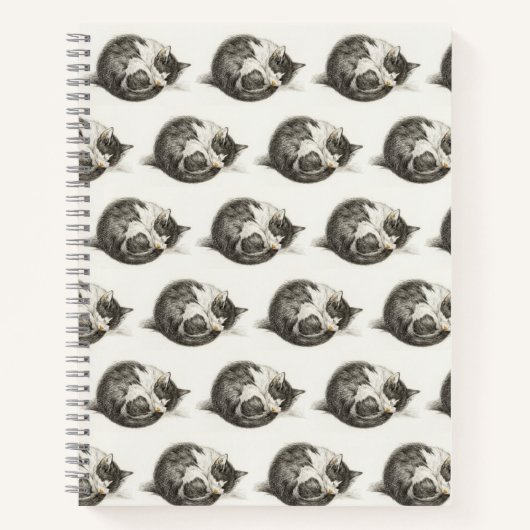 Black and white pencil drawing of a sleeping cat ノートブック (正面)