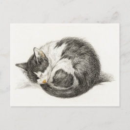 Black and white pencil drawing of a sleeping cat ポストカード