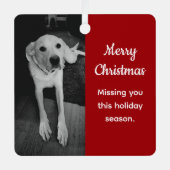 Black and White Photo of Sad Dog Missing You Red メタルオーナメント (正面)