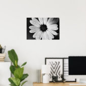 Black and White Photography of African Daisy ポスター (ホームオフィス)