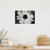 Black and White Photography of African Daisy ポスター (キッチン)