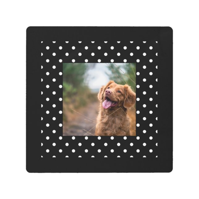 Black and white polka dot Dog pic メタルプリント (正面)