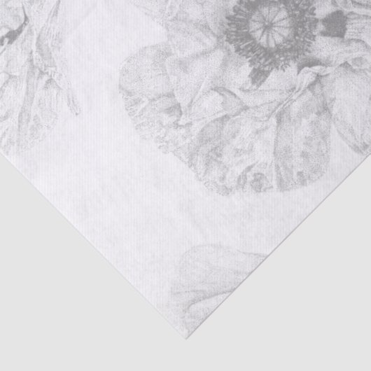 Black and White Poppy 薄葉紙 (詳細)