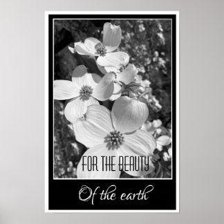 Black and White Reflections For the Beauty Poster ポスター