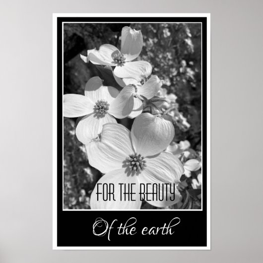 Black and White Reflections For the Beauty Poster ポスター (正面)