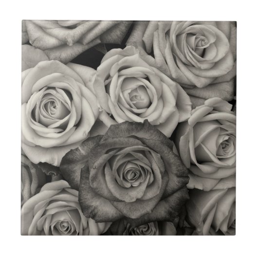 Black and White Roses タイル (正面)