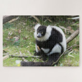 Black and White Ruffed Lemur: Wildlife Photography ジグソーパズル (横)