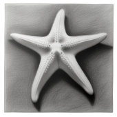 Black and White Starfish タイル (正面)