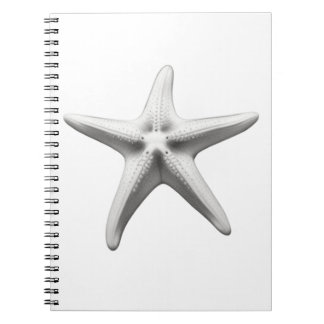 Black and White Starfish ノートブック