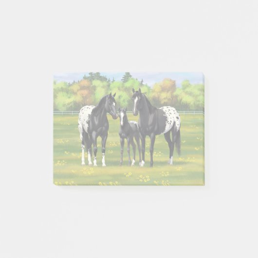 Black Appaloosa Horses In Summer Pasture ポストイット (正面)