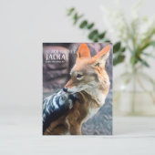 Black-backed Jackal [Postcard] ポストカード (スタンド正面)