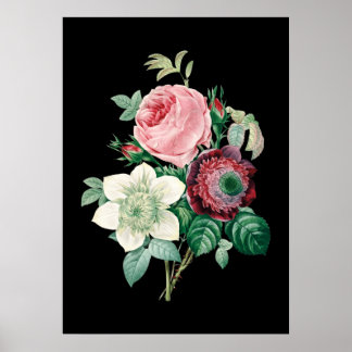 Black background roses bouquet of Redoute print ポスター