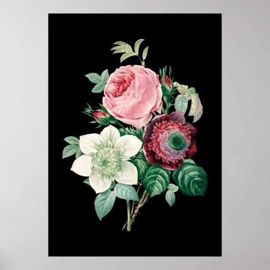 Black background roses bouquet of Redoute print ポスター (正面)