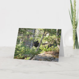 Black Bear at Grand Teton カード