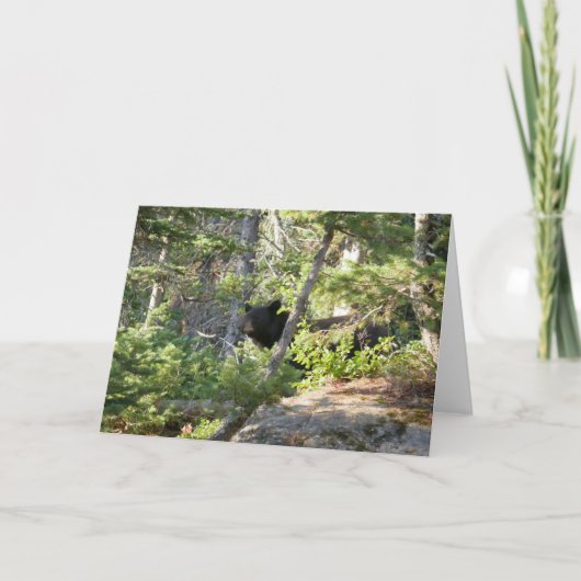 Black Bear at Grand Teton カード (正面)