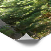 Black Bear at Grand Teton ポスター (角)