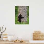 Black Bear Cub | Great Smoky Mountains ポスター (キッチン)