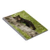 Black Bear cub In Tree ノートブック (右側)