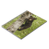 Black Bear cub In Tree ノートブック (左側)
