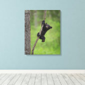 Black Bear Cub playing on Tree Limb キャンバスプリント (インサイチュ (ウッドフロア))