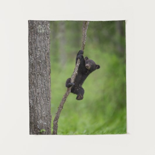 Black Bear Cub playing on Tree Limb タペストリー (正面)