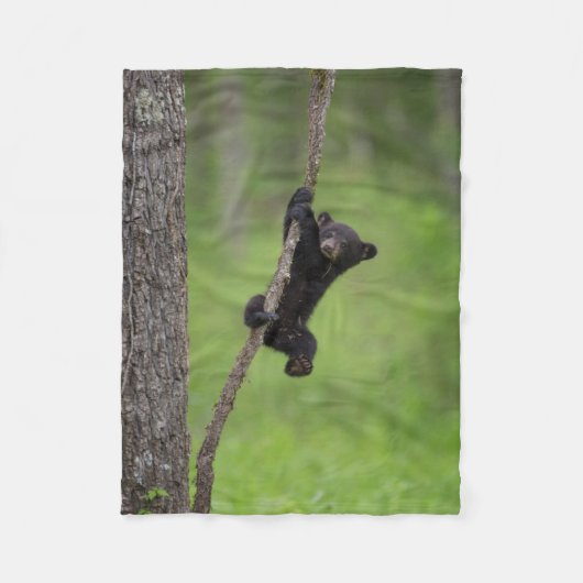 Black Bear Cub playing on Tree Limb フリースブランケット (正面)