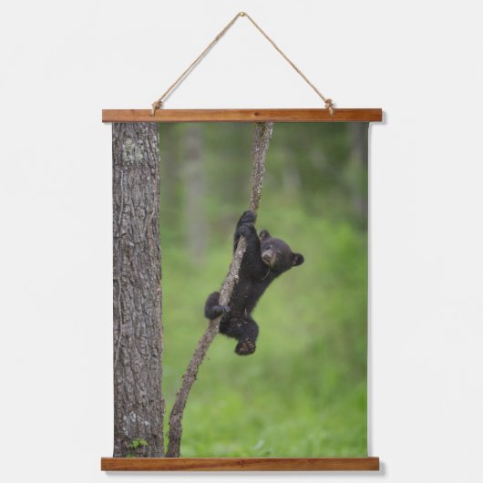 Black Bear Cub playing on Tree Limb 吊り下げ型タペストリー (正面)